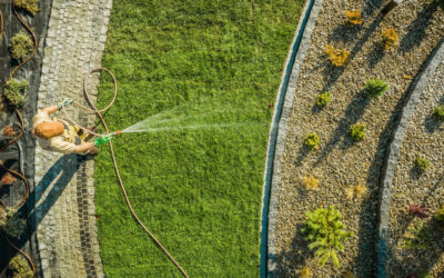 LA MANUTENZIONE DEL TUO GIARDINO DURANTE TUTTO L’ANNO