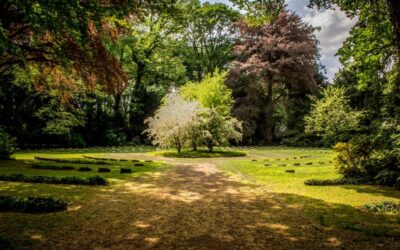 GIARDINO STORICO: UN BENE COMUNE CHE NECESSITA DELLA NOSTRA CURA