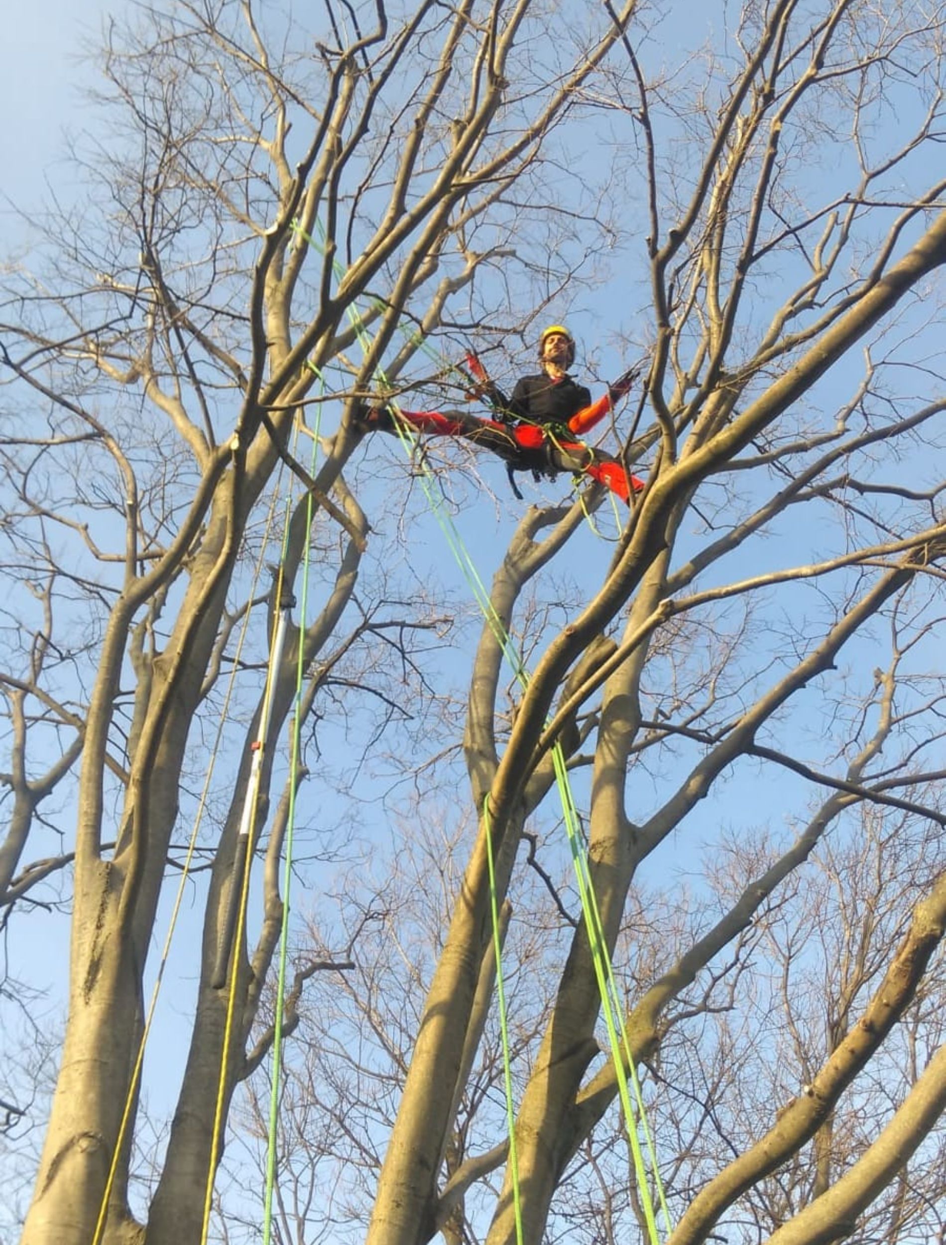© Giambenini srl - Tree climbing Verona