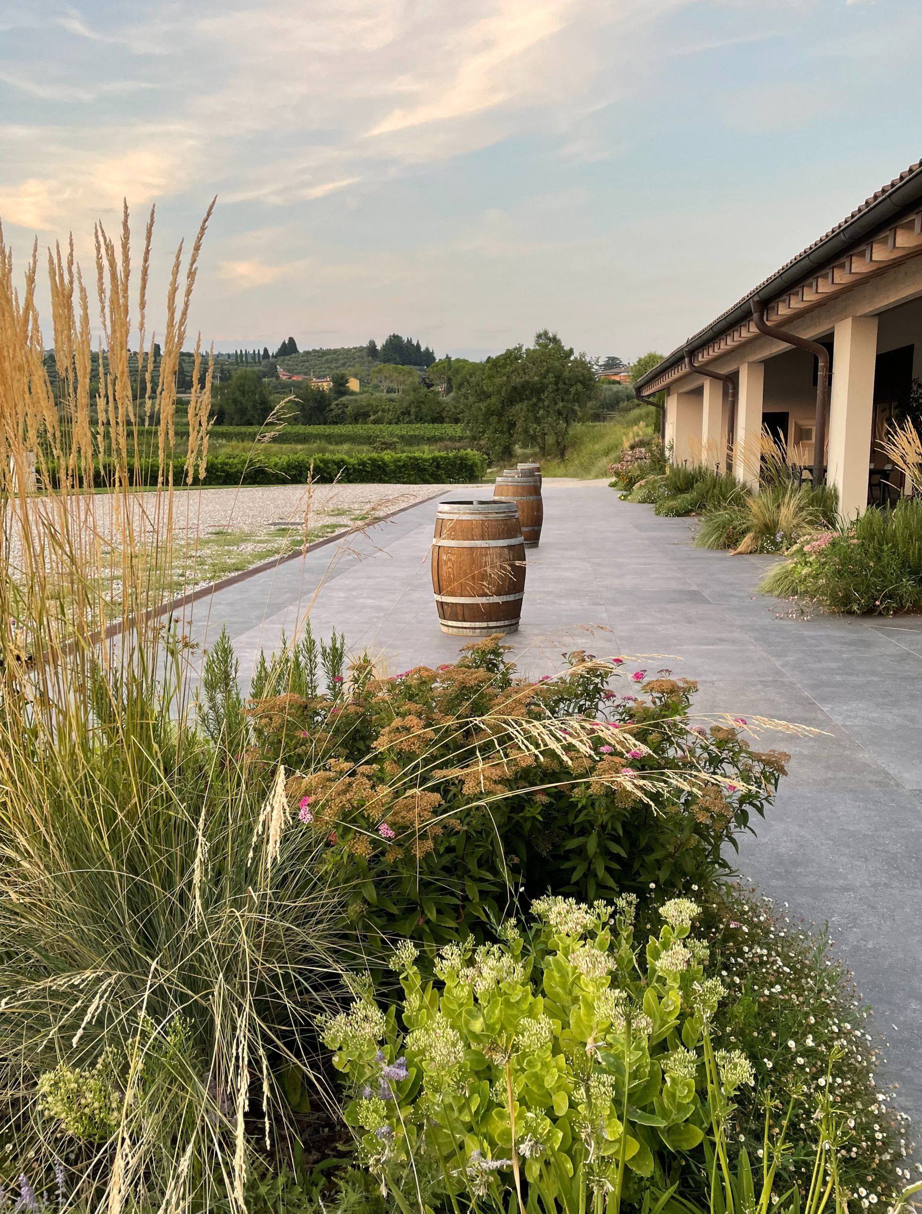 siccità-in-giardino-progettazione-giardini-verona-giambenini-2